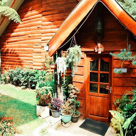 Moon Plains Forest Log Nuwara Eliya Exterior photo
