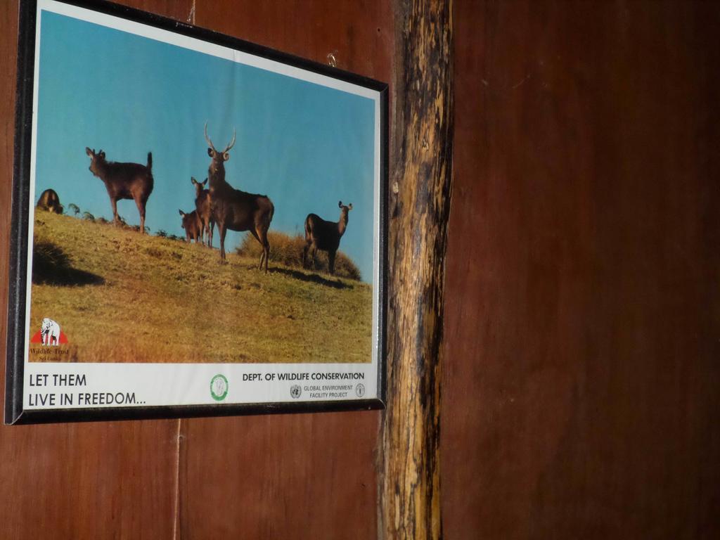 Moon Plains Forest Log Nuwara Eliya Room photo