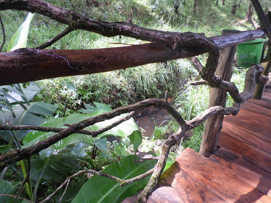 Moon Plains Forest Log Nuwara Eliya Room photo
