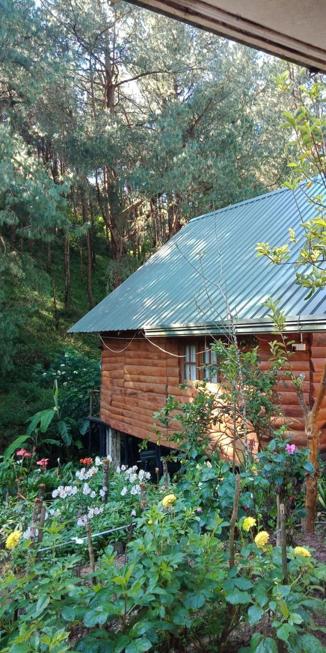 Moon Plains Forest Log Nuwara Eliya Exterior photo